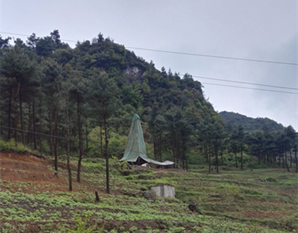 把脈“黔”鋅地，問(wèn)診開(kāi)良方